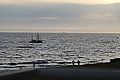 L1000863 - Bernhard Saalfeld