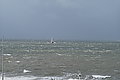 L1000864 - Bernhard Saalfeld