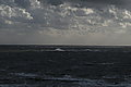 L1000907 - Bernhard Saalfeld