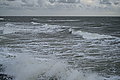 L1000913 - Bernhard Saalfeld