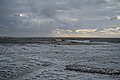 L1000914 - Bernhard Saalfeld