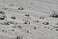 L1001024 - Bernhard Saalfeld