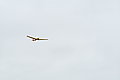 L1001184 - Bernhard Saalfeld