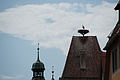 DSC04029 - Bernhard Saalfeld