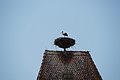 DSC04030 - Bernhard Saalfeld