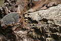 DSC04090 - Bernhard Saalfeld