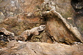DSC04091 - Bernhard Saalfeld