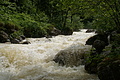 DSC04097 - Bernhard Saalfeld