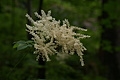 DSC04101 - Bernhard Saalfeld