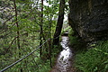 DSC04115 - Bernhard Saalfeld