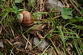 DSC04126 - Bernhard Saalfeld