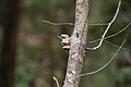DSC04129 - Bernhard Saalfeld