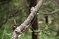 DSC04130 - Bernhard Saalfeld