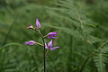 DSC04131 - Bernhard Saalfeld