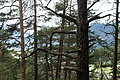 DSC04132 - Bernhard Saalfeld