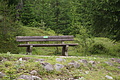 DSC04148 - Bernhard Saalfeld