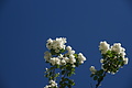 DSC04163 - Bernhard Saalfeld