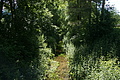 DSC04164 - Bernhard Saalfeld