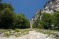 DSC04179 - Bernhard Saalfeld