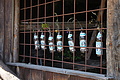 DSC04181 - Bernhard Saalfeld