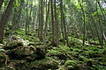 DSC04221 - Bernhard Saalfeld