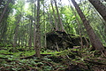 DSC04222 - Bernhard Saalfeld
