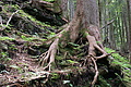 DSC04223 - Bernhard Saalfeld