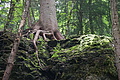 DSC04224 - Bernhard Saalfeld