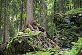 DSC04225 - Bernhard Saalfeld