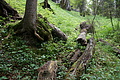 DSC04230 - Bernhard Saalfeld