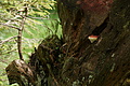 DSC04231 - Bernhard Saalfeld