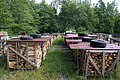 DSC04256 - Bernhard Saalfeld