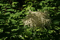 DSC04258 - Bernhard Saalfeld