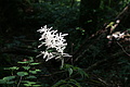 DSC04261 - Bernhard Saalfeld