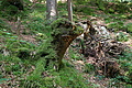 DSC04263 - Bernhard Saalfeld