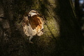 DSC04265 - Bernhard Saalfeld