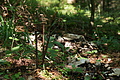 DSC04266 - Bernhard Saalfeld