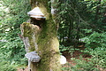 DSC04267 - Bernhard Saalfeld