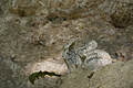 DSC04270 - Bernhard Saalfeld