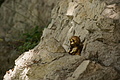 DSC04271 - Bernhard Saalfeld