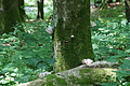 DSC04283 - Bernhard Saalfeld