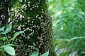 DSC04284 - Bernhard Saalfeld