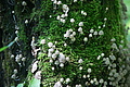 DSC04285 - Bernhard Saalfeld