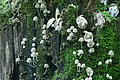 DSC04286 - Bernhard Saalfeld