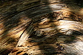 DSC04288 - Bernhard Saalfeld