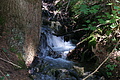 DSC04290 - Bernhard Saalfeld