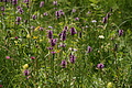 DSC04291 - Bernhard Saalfeld