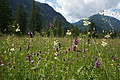 DSC04292 - Bernhard Saalfeld