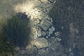 DSC04294 - Bernhard Saalfeld