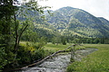 DSC04295 - Bernhard Saalfeld